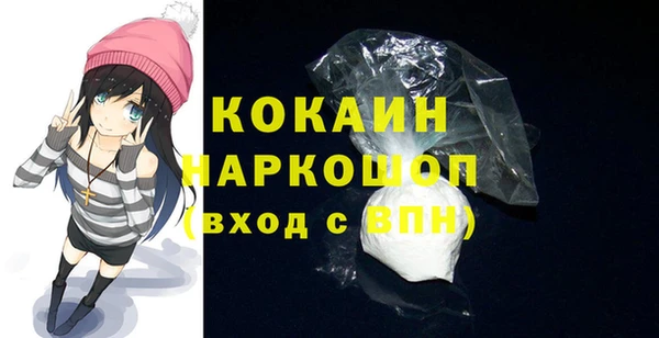шишки Армянск