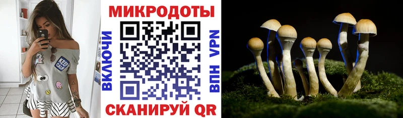 Псилоцибиновые грибы GOLDEN TEACHER  Слободской 